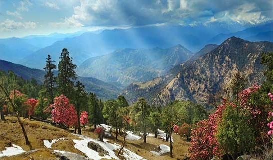 1467701687_0binsar 1.jpg